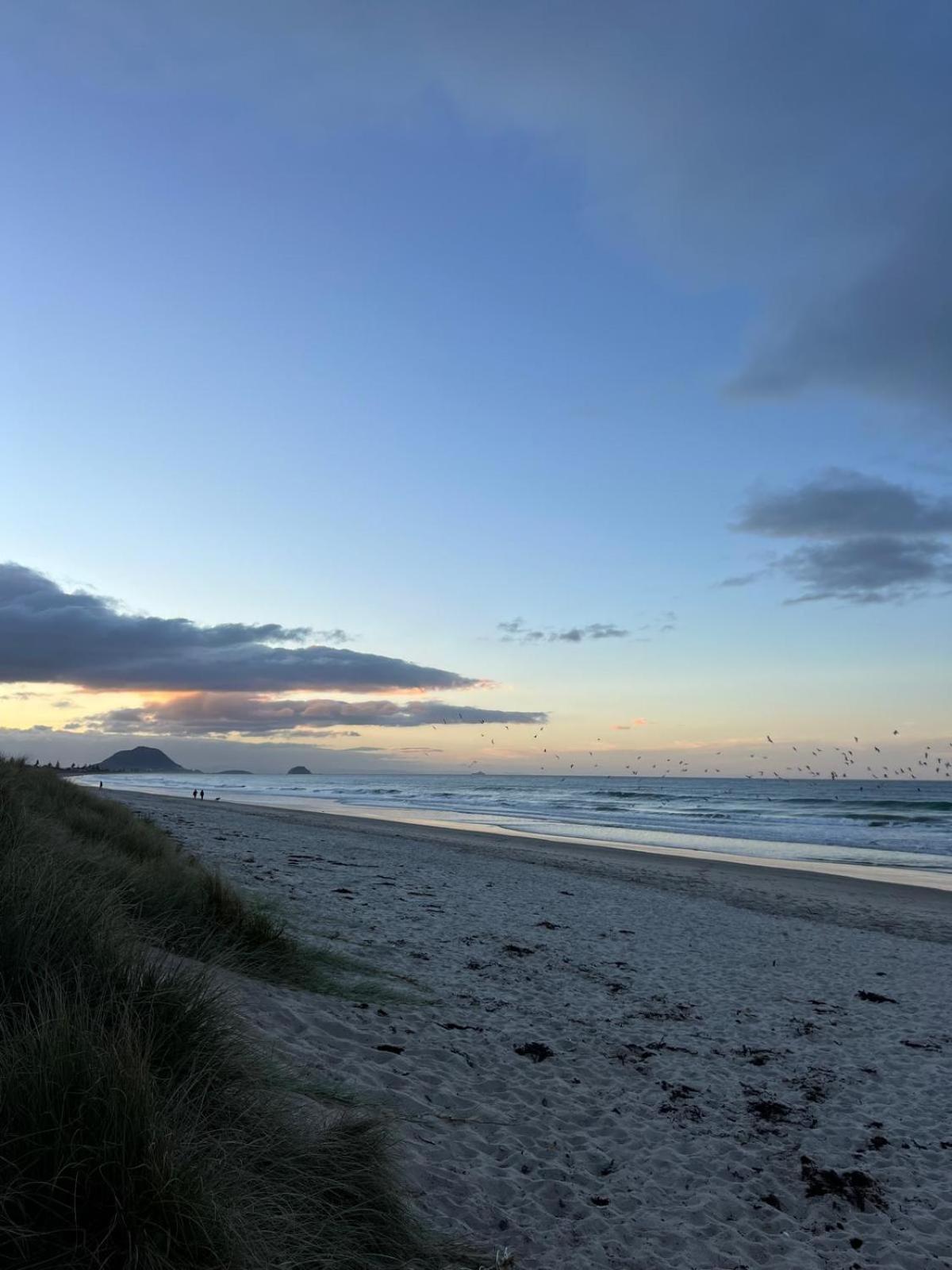 Papamoa Beach, Pohutukawa Deluxe Studio, On Hugoway Εξωτερικό φωτογραφία