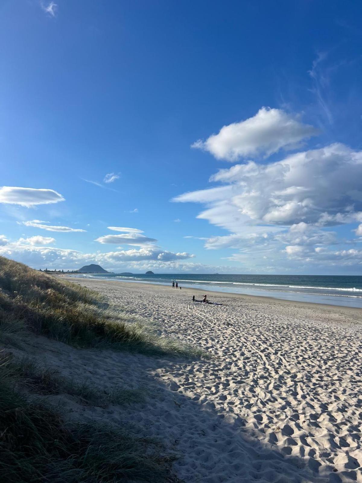 Papamoa Beach, Pohutukawa Deluxe Studio, On Hugoway Εξωτερικό φωτογραφία